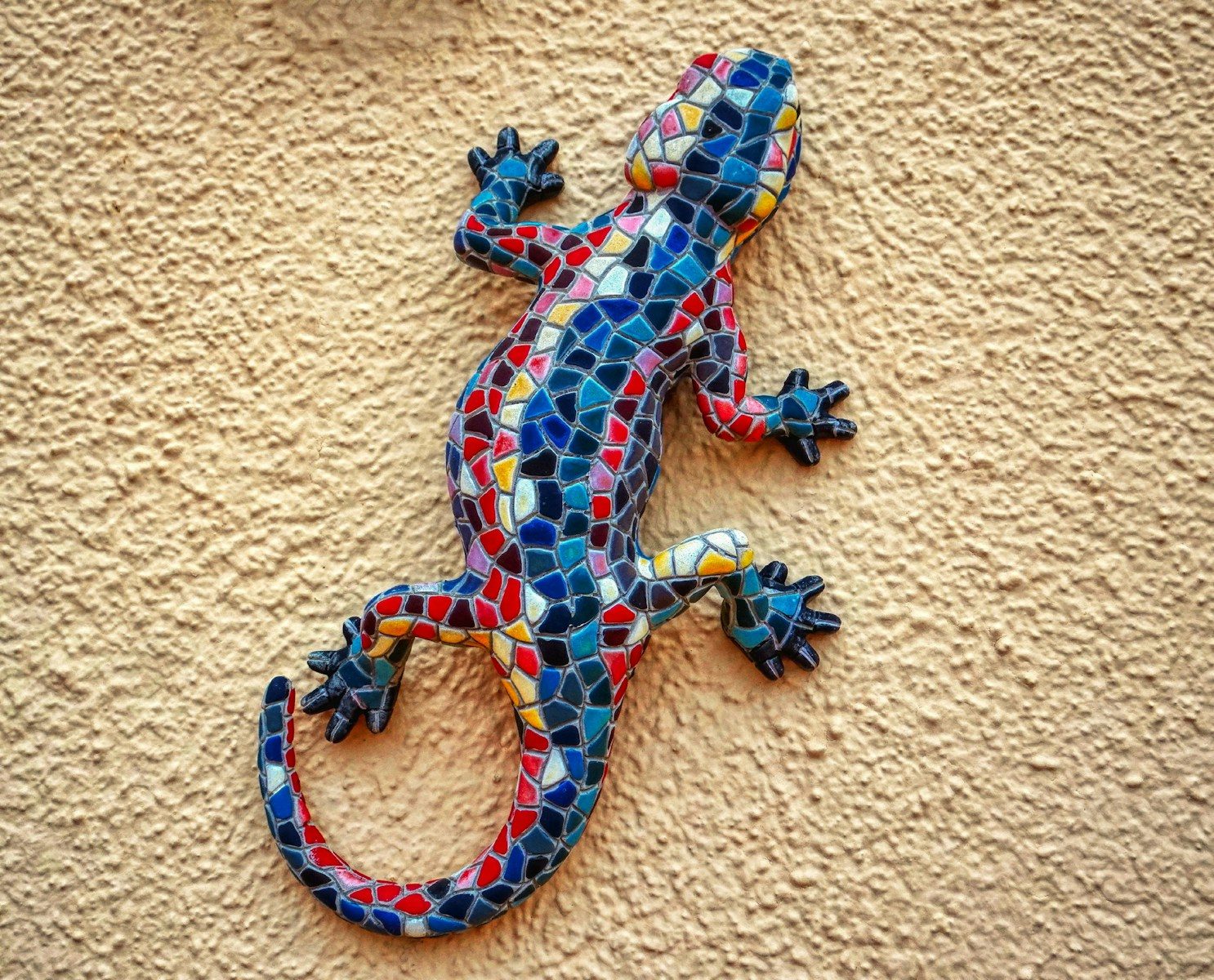 How geckos climb walls without glue
