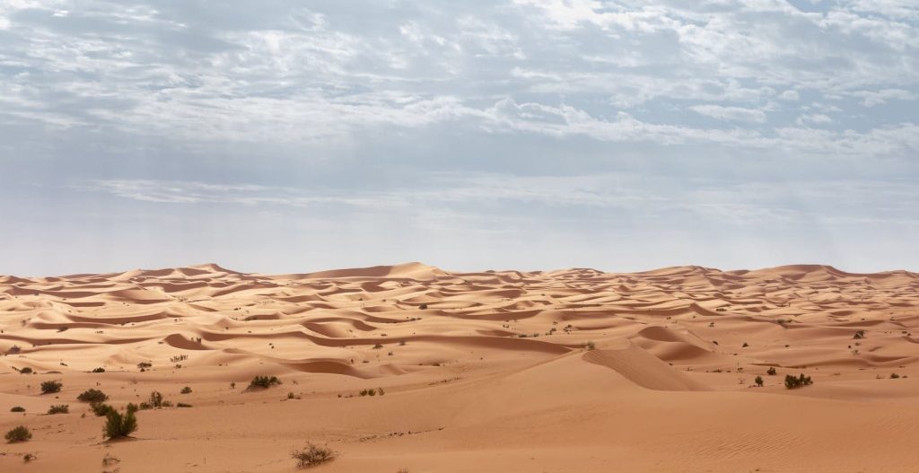 Expansive sand dunes stretch under a cloudy sky in the Algerian Sahara Desert.