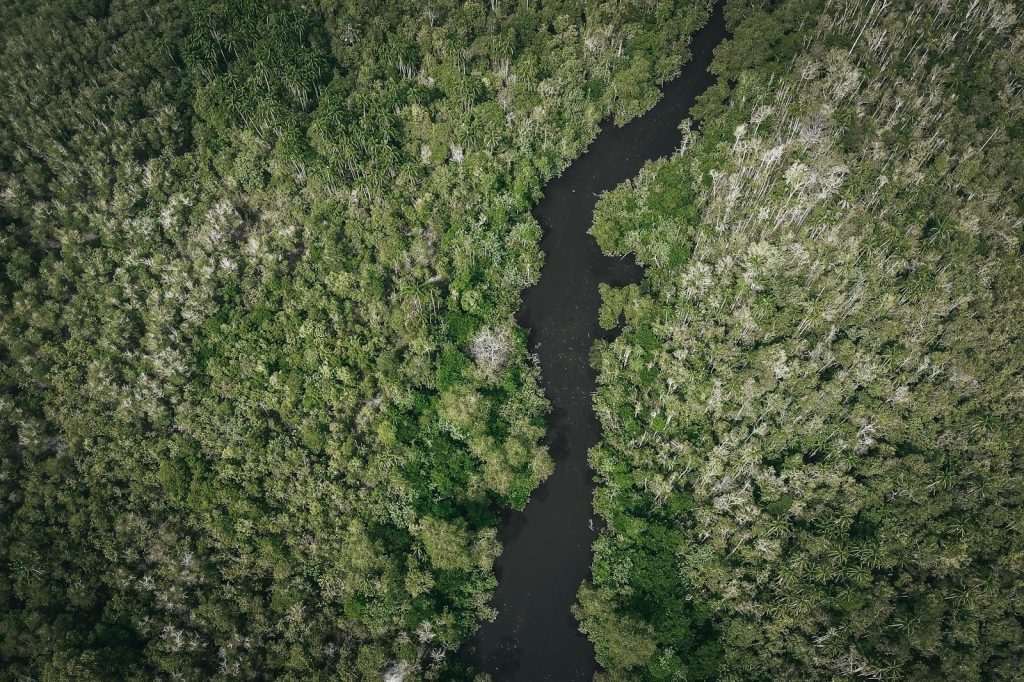 Stunning aerial view of a river cutting through a dense, lush forest landscape.