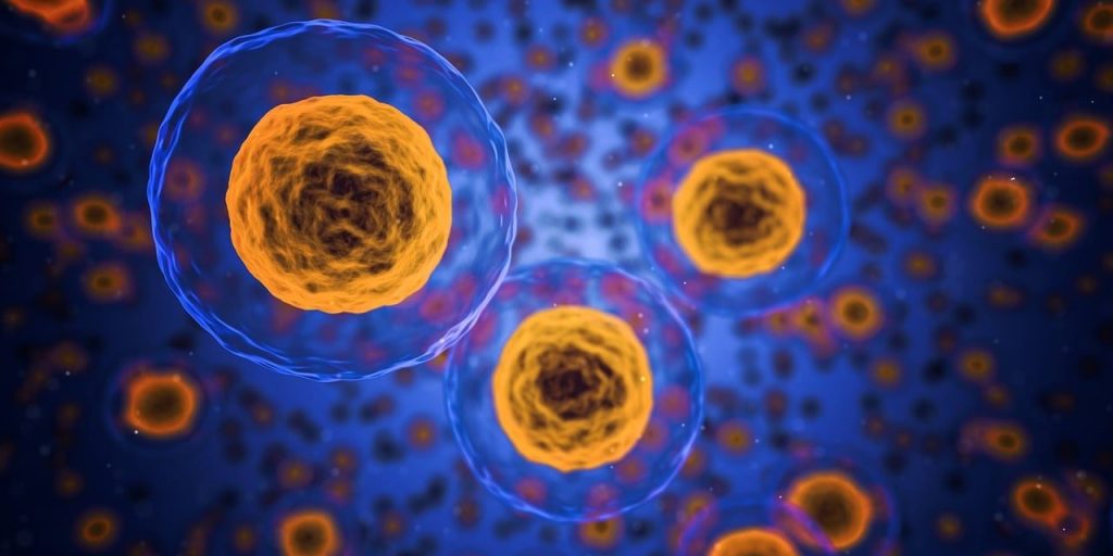 cells, human, medical, biology, health, anatomy, science, medicine, system, healthcare, microscopic, 3d, macro, research, microscope, microbiology, structure, disease, scientific, life, micro, genetic, organism, care, experiment, examining, plasma, blue health, blue medical, blue life, blue science, blue research, blue medicine, blue human, blue care, blue healthcare, cells, cells, cells, cells, cells, medical, biology, health, science