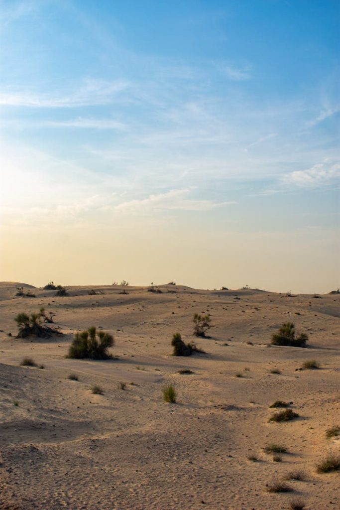 Scenic view of a dry desert landscape with sparse vegetation and clear blue skies.