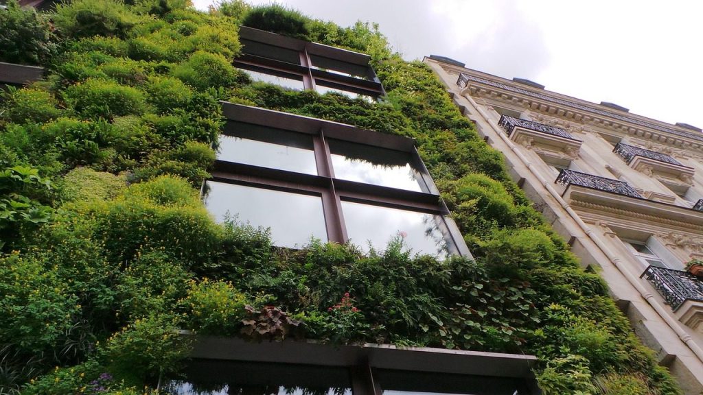 wall, eco, eco wall, green, nature, building, live wall, facade, vegetation, gardening, plants, decoration, natural, environment, urban, architecture, eco wall, eco wall, eco wall, eco wall, eco wall, live wall