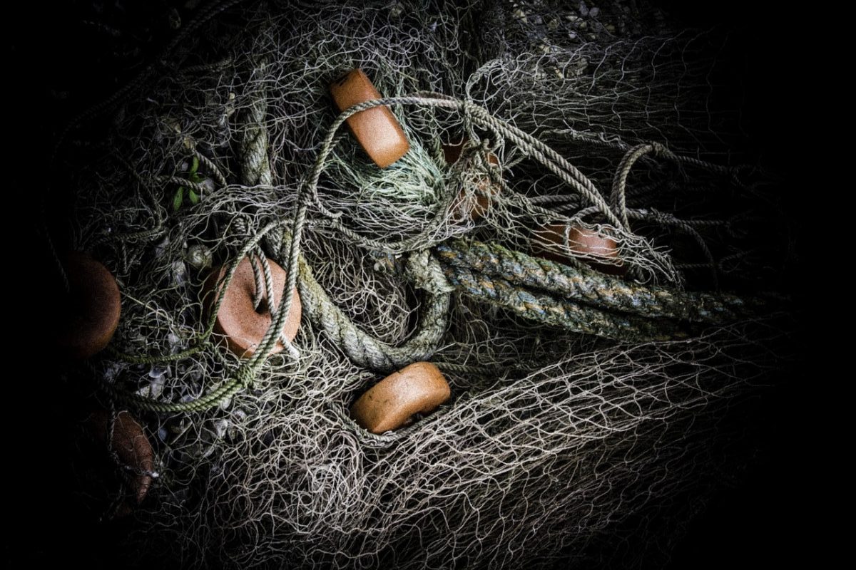 fishing, nets, rope, fish, catch, sea, fisherman, fishnet, equipment, fishing-net, nature, ocean