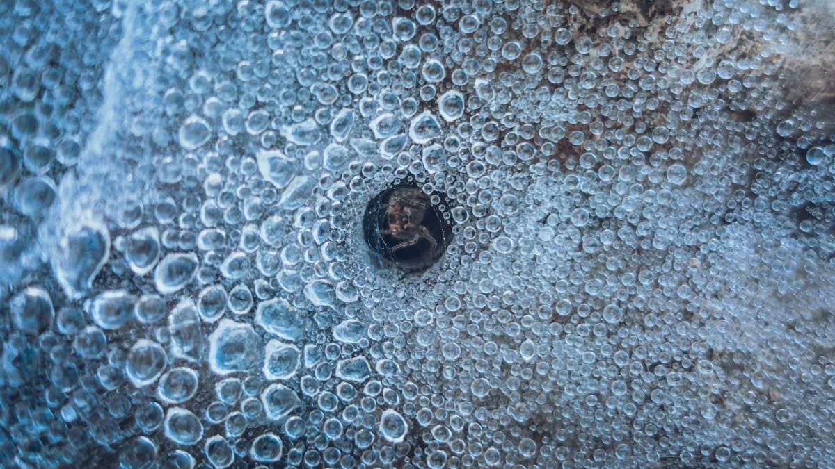 Close-up of trapped air bubbles in ice creating a unique texture.