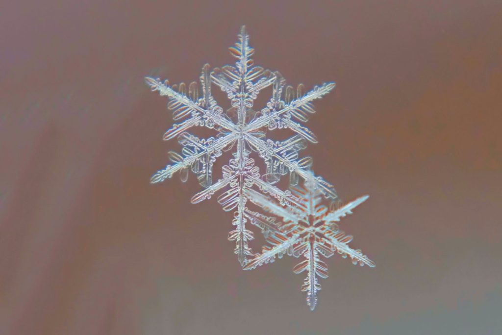 Macro shot of intricate snowflakes showcasing winter beauty in Lapeer, Michigan.