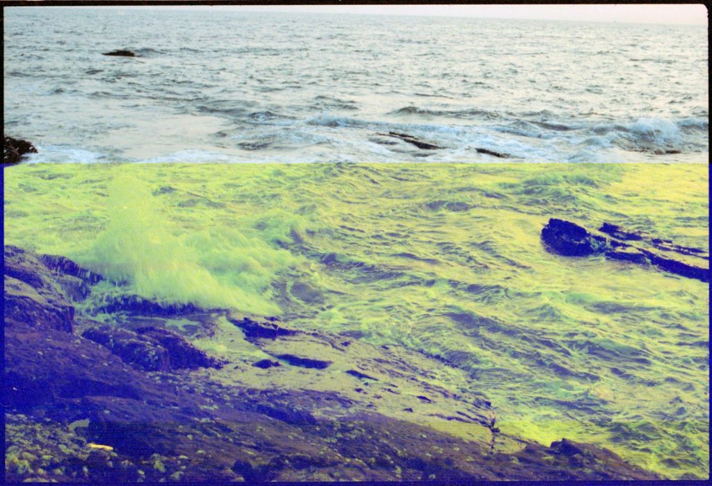 a picture of a body of water with algae on it