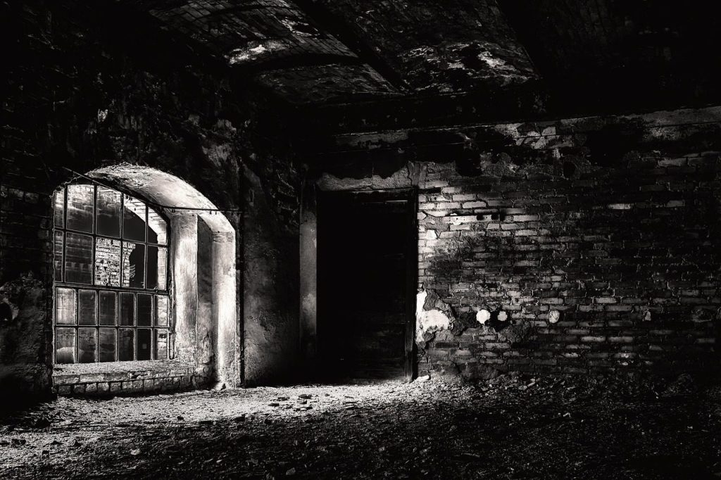 basement, cellar, dark, pforphoto, grim, the atmosphere, mood, mystical, scary, underground, gruesome, darkness, night, horror, the shade, fear, cellar, cellar, cellar, cellar, cellar, horror