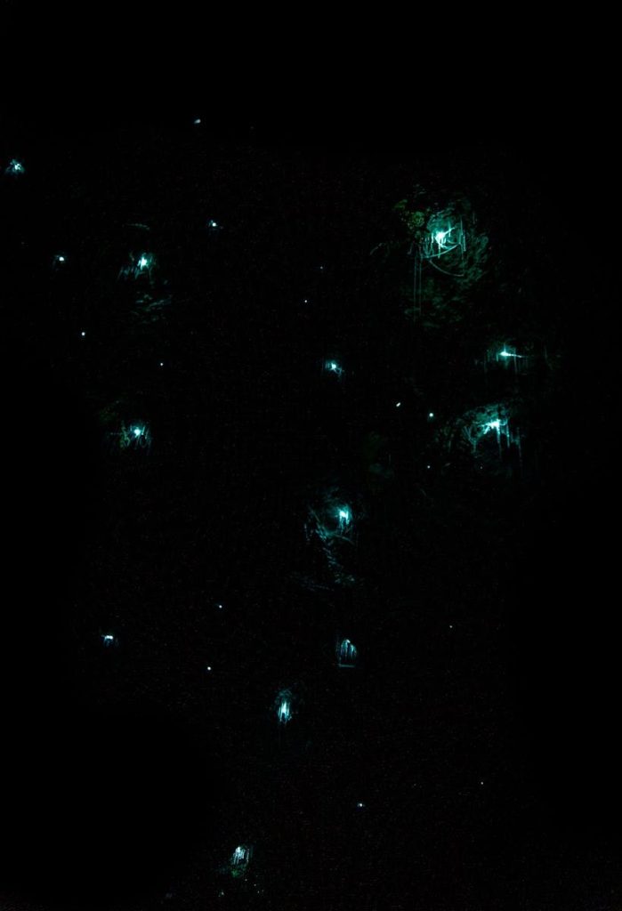 Abstract background with bright glowing garland on coniferous tree in dark night room