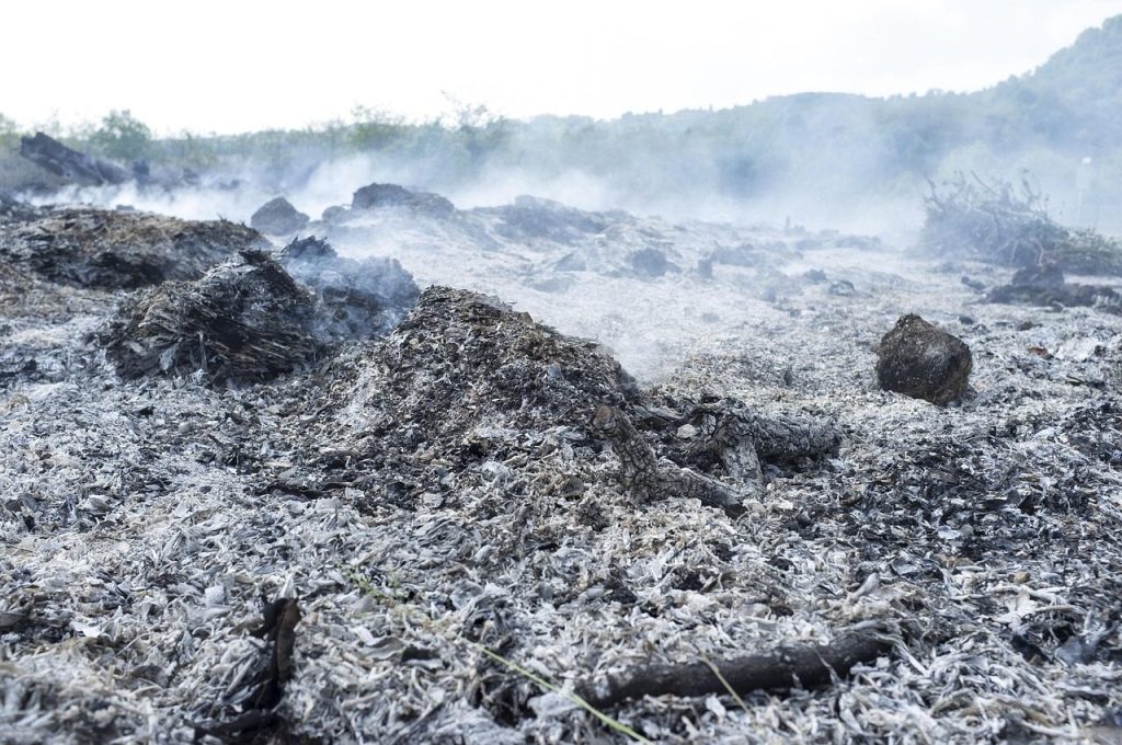 landscape, fire, flame, under, burning, sparks, ashes, coals, fire wood, fossil, fossil fuel, horizontal, wood, smoke, ash, nature, trees, active, cinders, ashes, fossil fuel, fossil fuel, fossil fuel, fossil fuel, fossil fuel