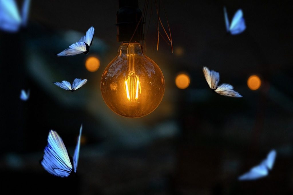 buttlefly, light, blue, luz, naturaleza, belleza, luz, luz, luz, luz, luz