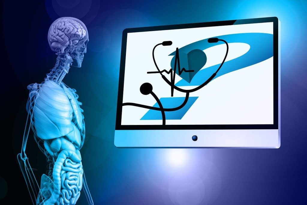 anatomy, human, heart, pulse frequency, heart rate, question mark, philosophy, psychology, existence, thorax, monitor, to learn, study, skeleton, system, body, health, medical, medicine, lung, brain, stomach, colon, anatomy, lung, lung, brain, stomach, stomach, stomach, stomach, stomach, colon