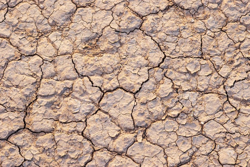 desert, soil, dry, dirt, land, earth, crack, ground, nature, terrain, arid, cracked, crack, crack, crack, crack, crack, ground, arid