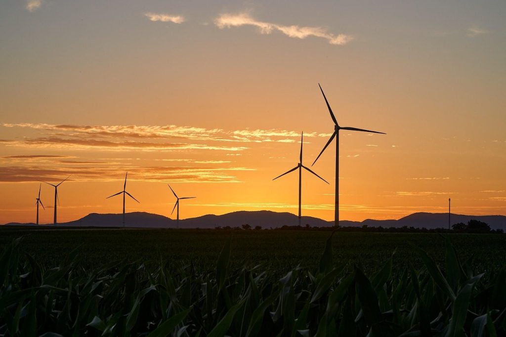 pinwheels, nature, energy, electricity, renewable, wind energy, sunset, wind farm, dusk, trees, landscape