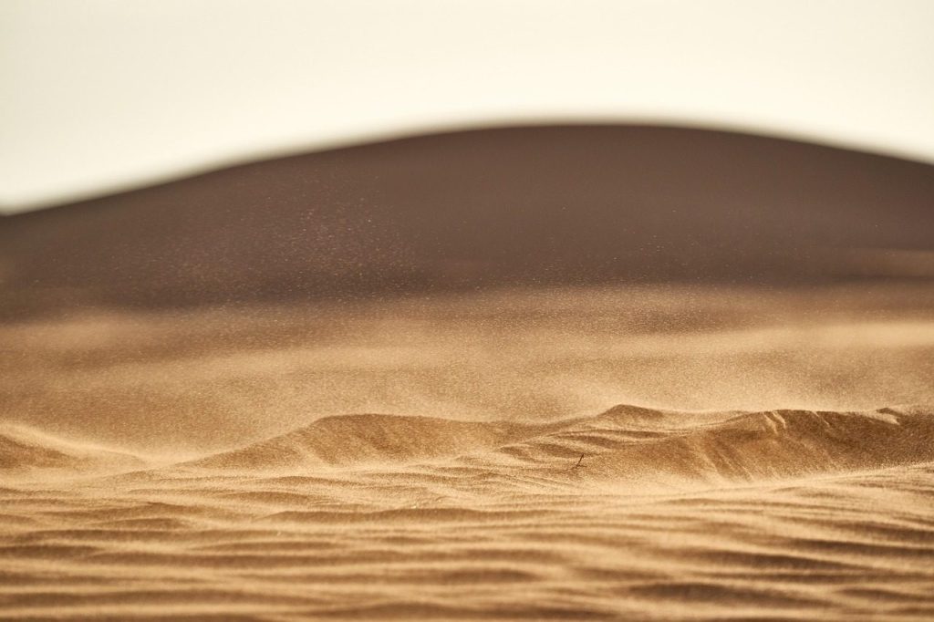 sand, dune, nature, sahara, travel, desert