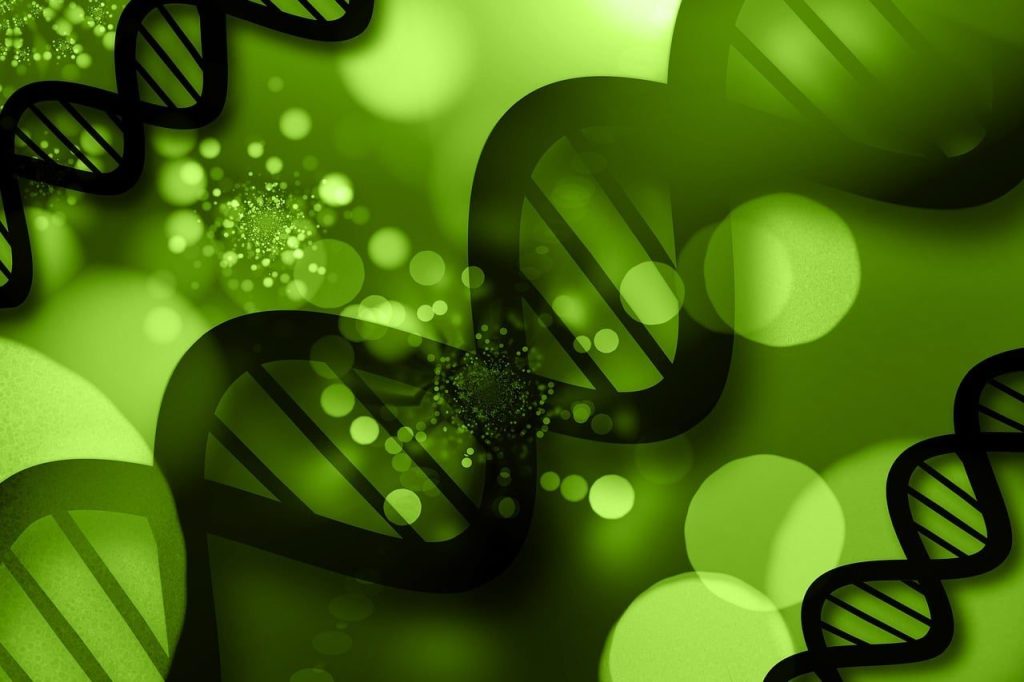 dna, analysis, research, genetic material, spiral, biology, chemistry, medical, science, genetically, discovery, development, biological, dna, dna, dna, dna, dna