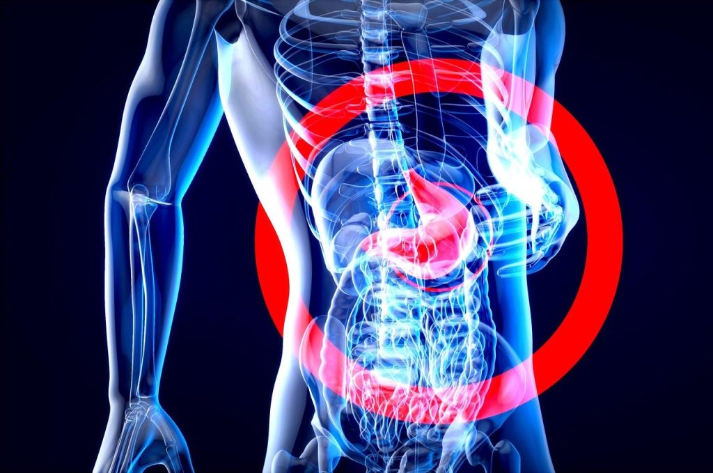 anatomy, x-ray, human body, health, genetics, background, stomach, digestive system, microbiota, digestion, stomach, digestive system, digestive system, digestive system, digestive system, digestive system