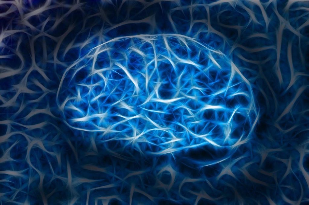 brain, neurons, design, wallpaper, background, training, consulting, to learn, knowledge, development, success, person, concept, brain, brain, brain, brain, brain, neurons, consulting