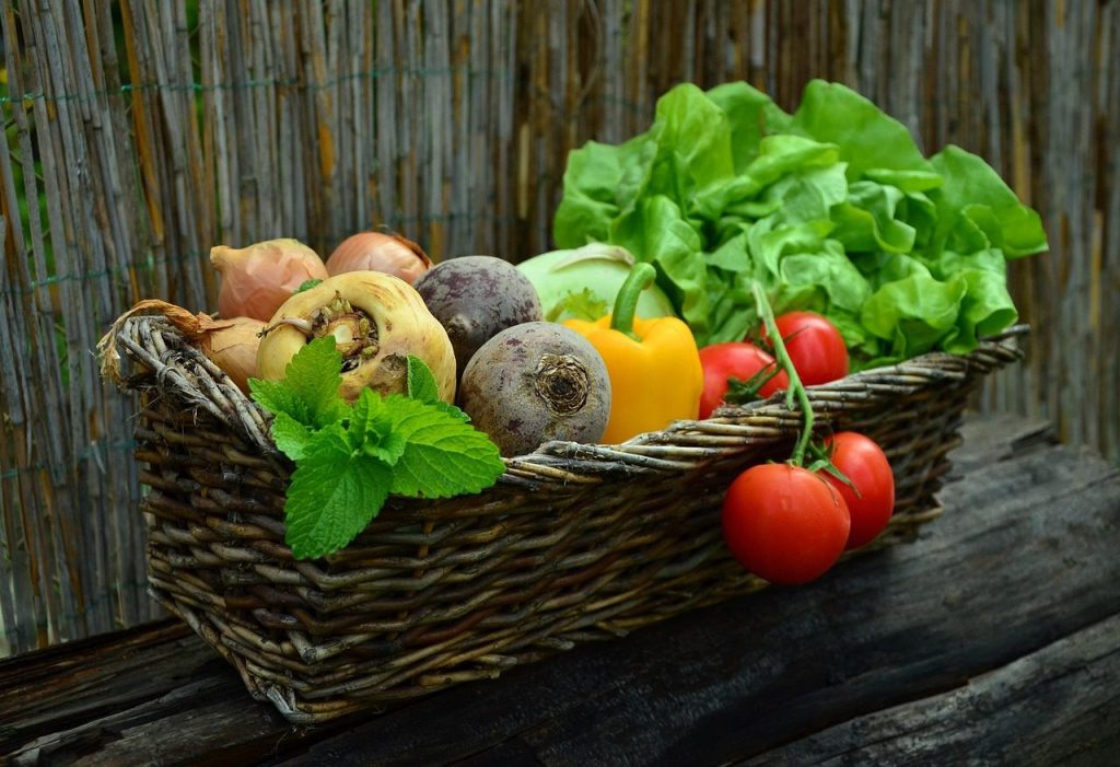 vegetables, basket, vegetable basket, harvest, produce, organic, fresh, fresh produce, fresh vegetables, assorted, nature, food, garden, salad, healthy