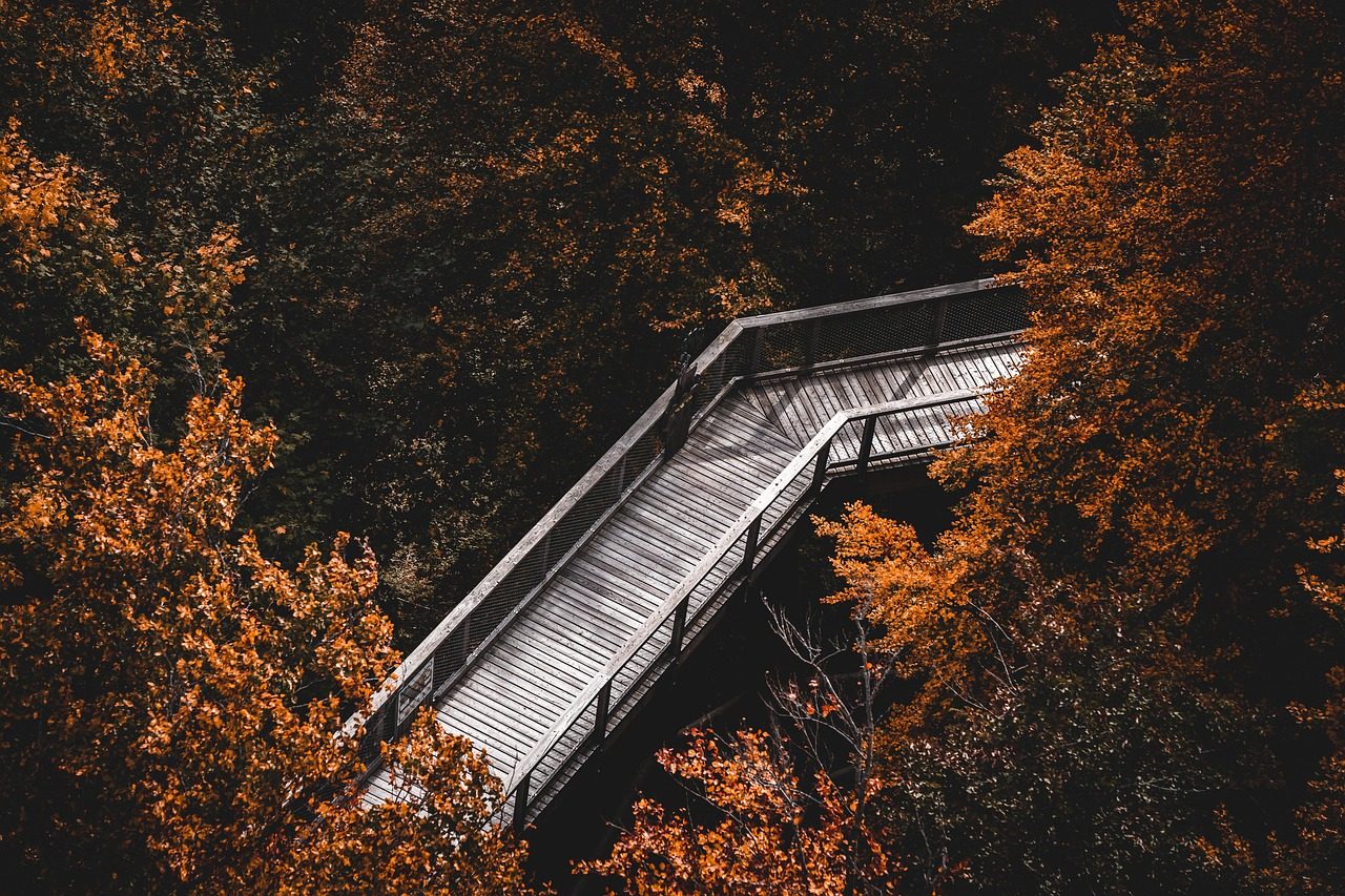 path, bridge, fall, hike, leaves, forest, aerial view, autumnal, lonely, nature, deciduous forest, mindfulness, hiking, autumn, loneliness, foliage