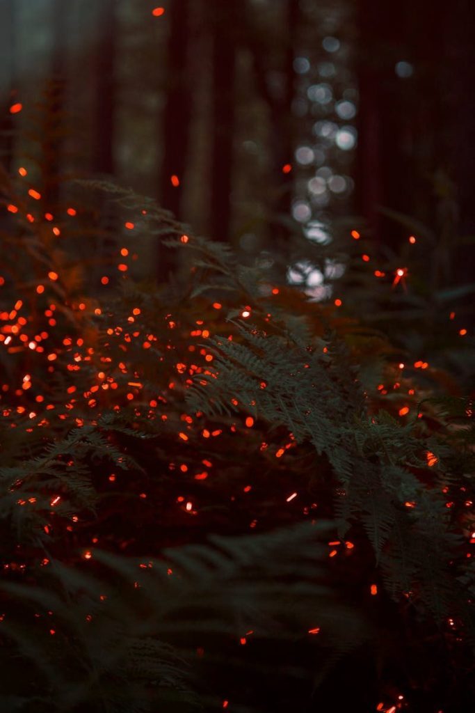 A mystical forest scene with ferns illuminated by glowing fireflies at dusk. Captivating and serene.