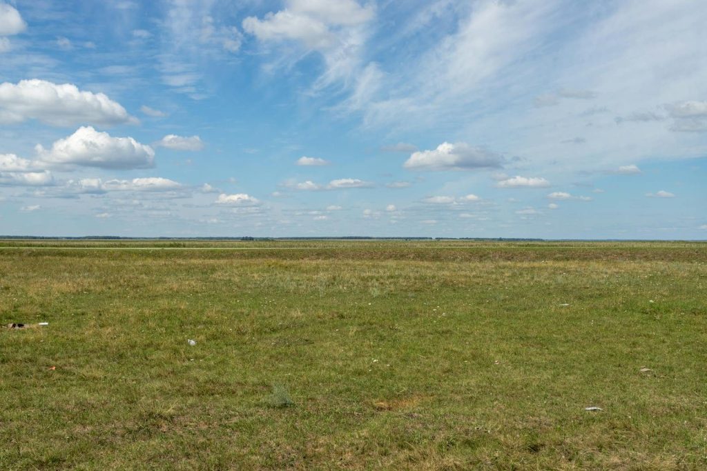 Serene view of a vast grass plain under a bright blue sky in rural Russia. Ideal for nature and travel themes.