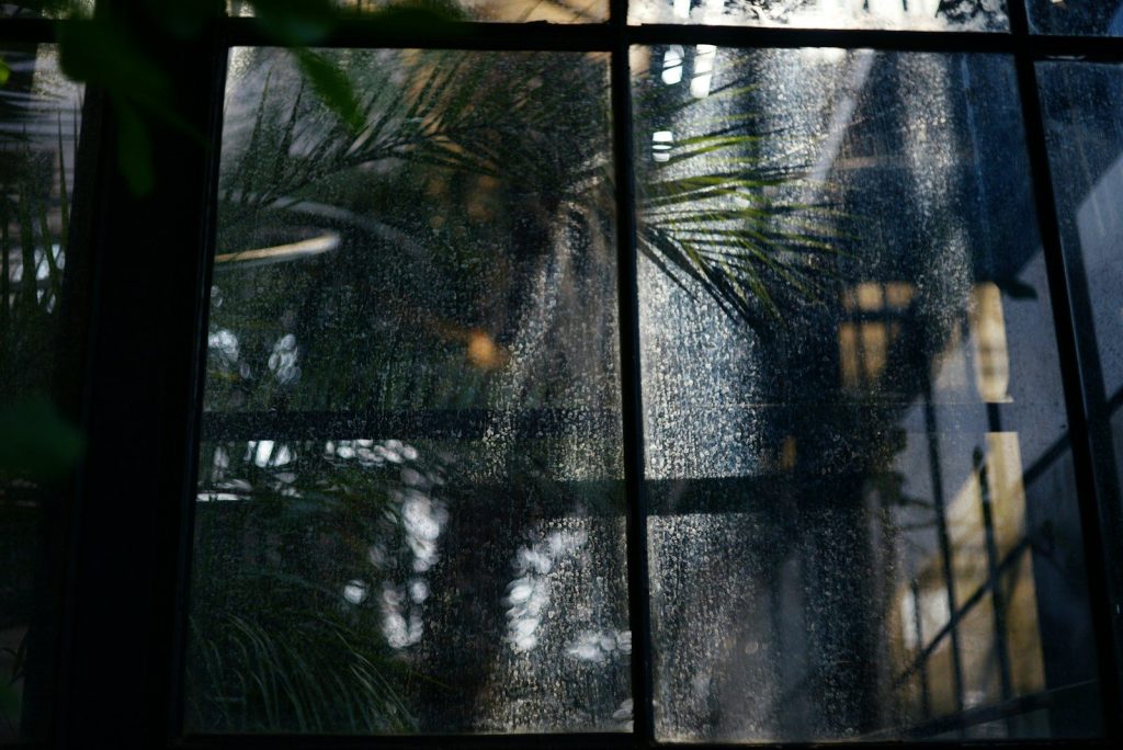 Rain streaks on a window with blurred trees outside