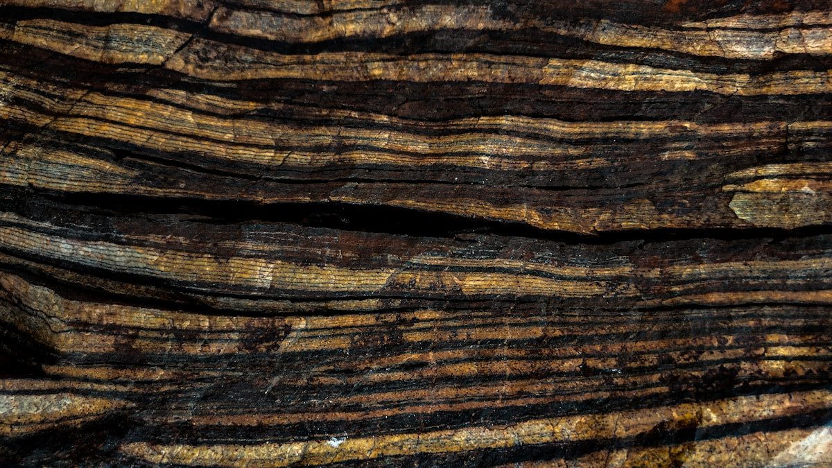 a piece of wood that is brown and black