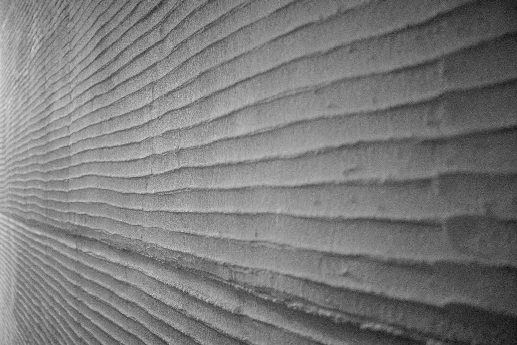 brown and white wooden surface