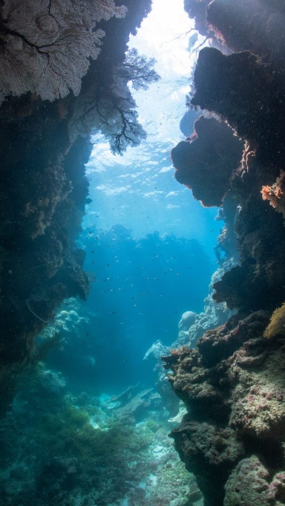 Underwater cave with light shining through.