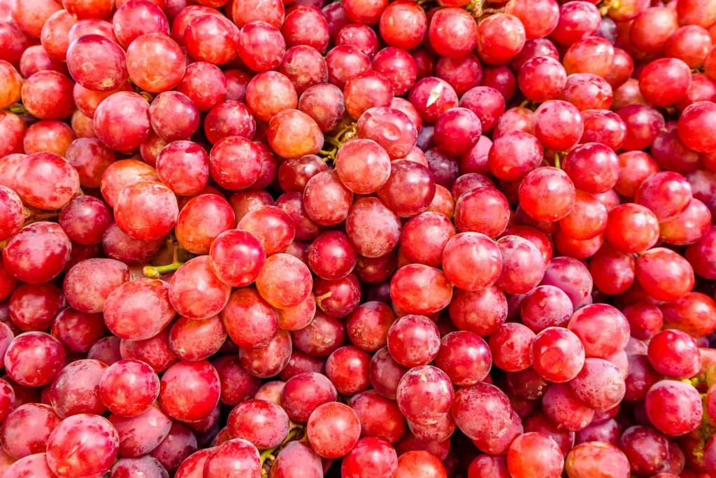 red grape fruits