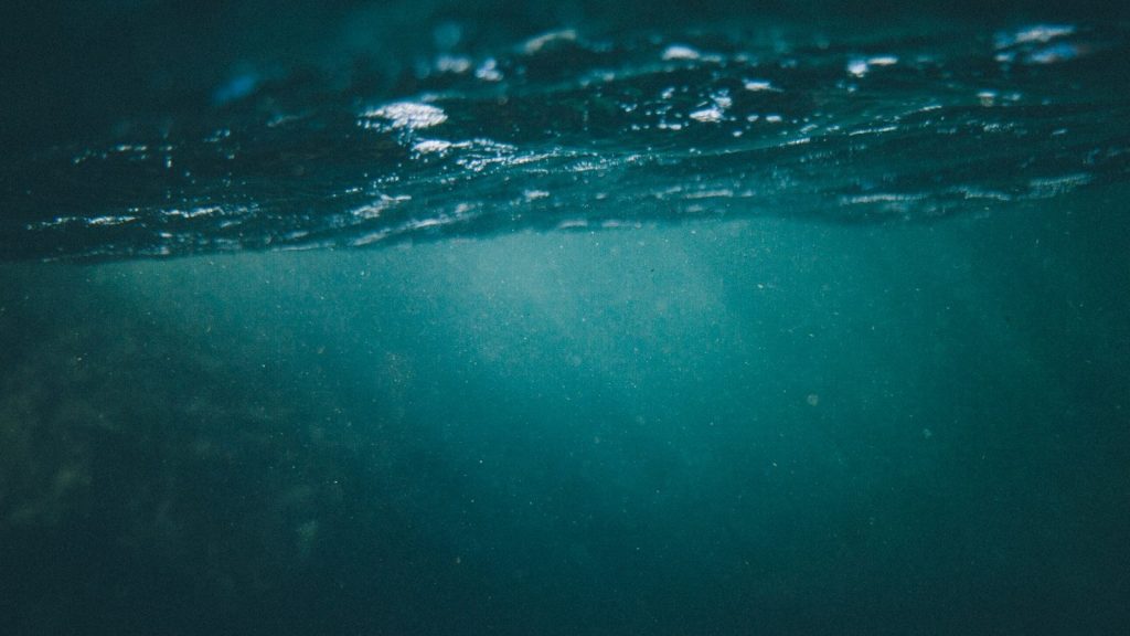 underwater camera capture