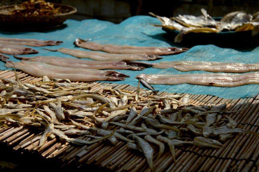 brown fish on blue table