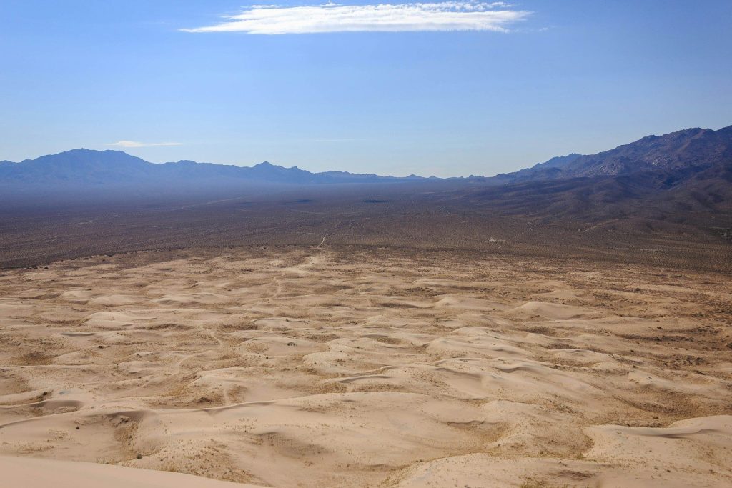 brown open field during daytime