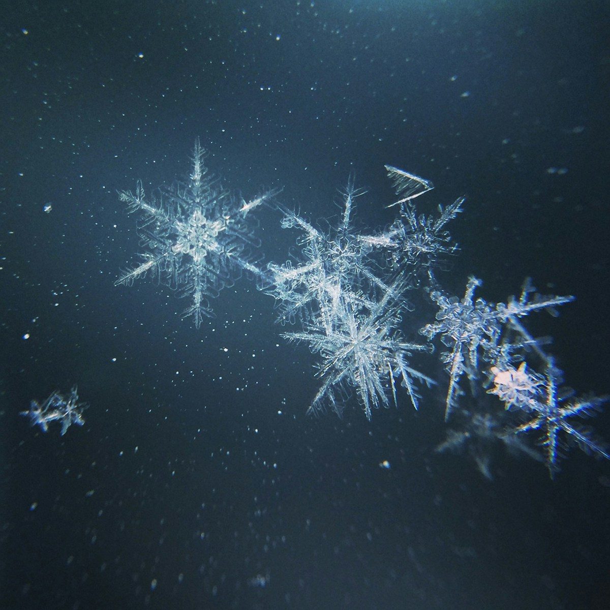 Why snowflakes almost never look exactly alike
