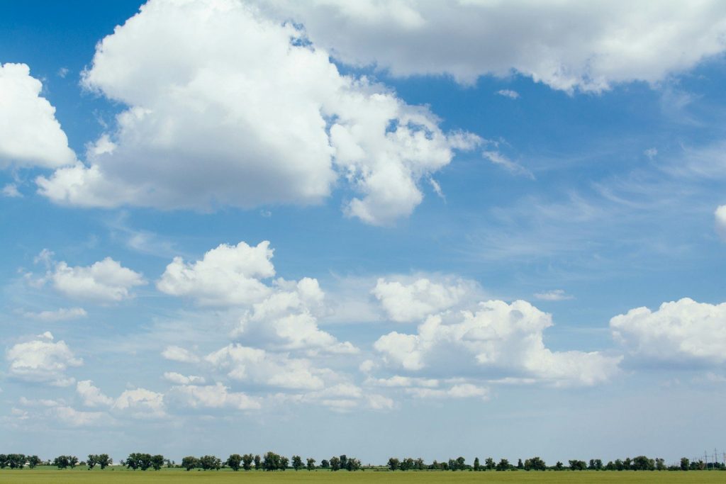 grass field at daytime