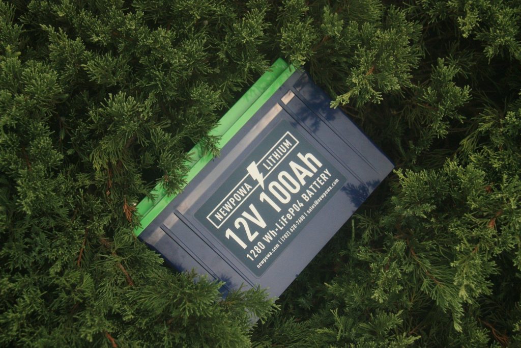a box in a tree