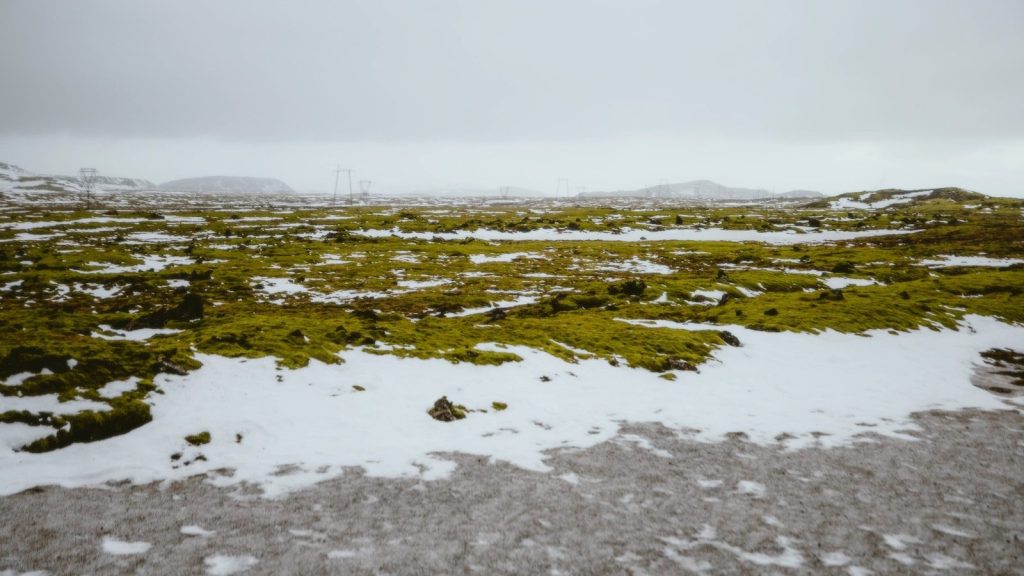 Green moss and snow cover a vast landscape.