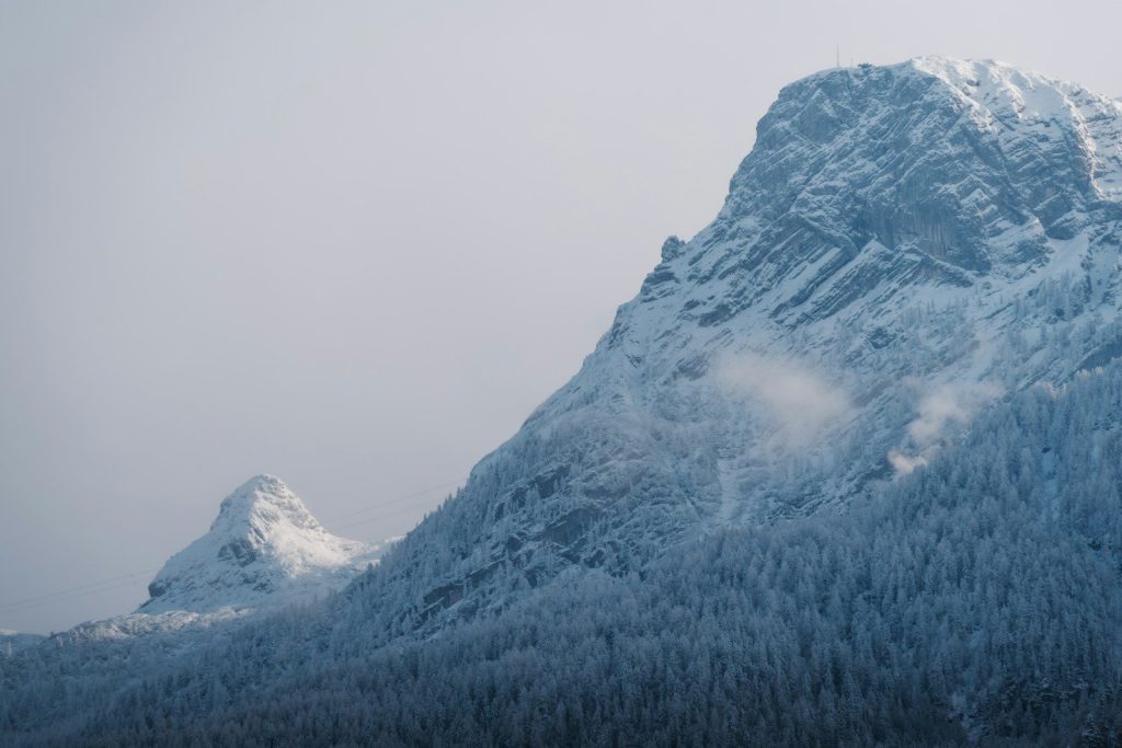 Snow-covered mountains with pine trees below.