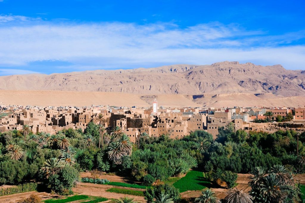 Ancient village nestled among palm trees with mountains behind.