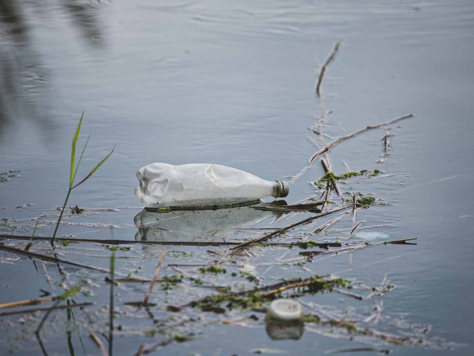 Plastic bottle floating in murky water with debris.