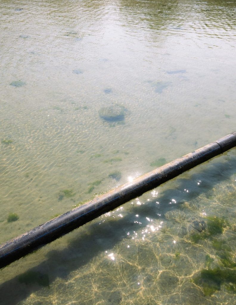 Clear water with sunlight reflecting on the sandy bottom.