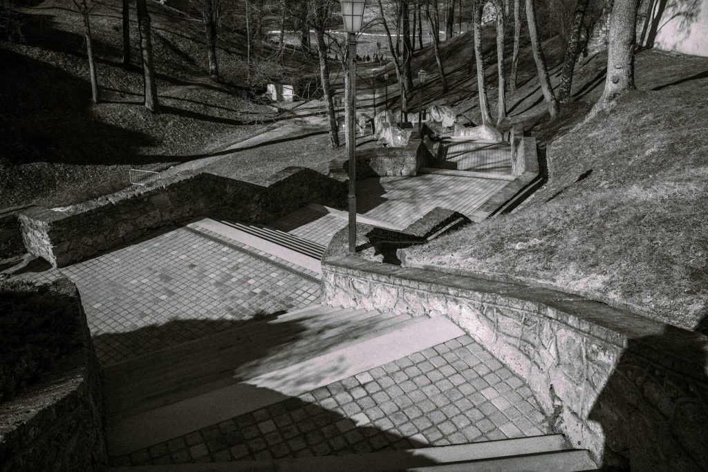 Stone steps and pathways in a wooded park