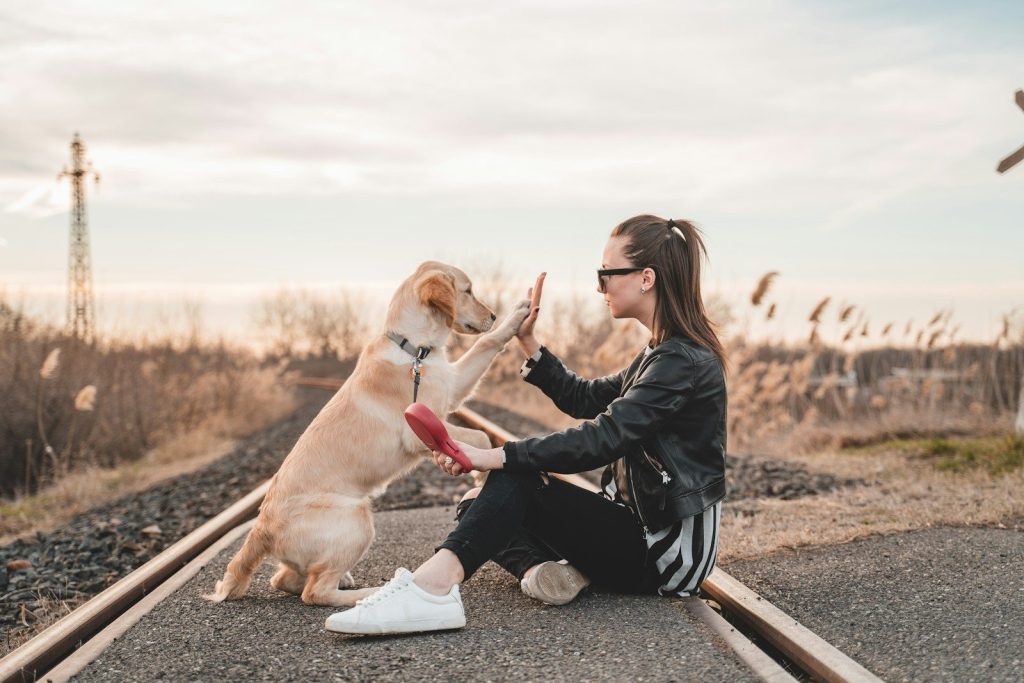woman sitting and playing with dog outdoors