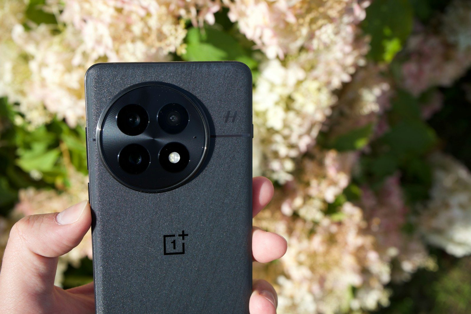 Hand holds black smartphone with circular camera module.