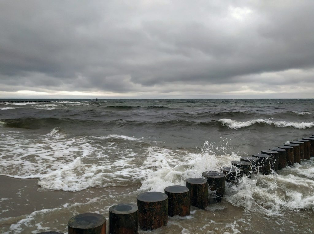 A bunch of barrels that are in the water