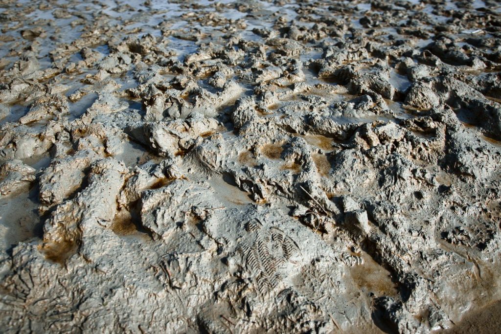 Textured muddy ground with water puddles