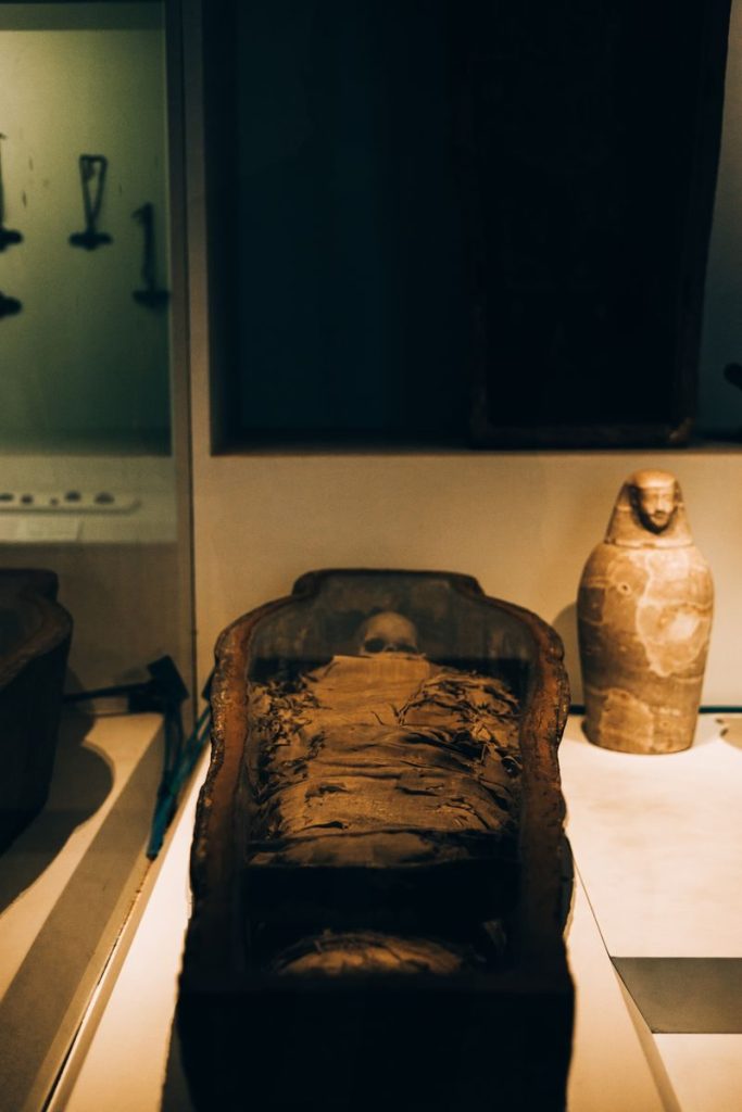 Close-up of an ancient Egyptian mummy displayed in a museum exhibition.