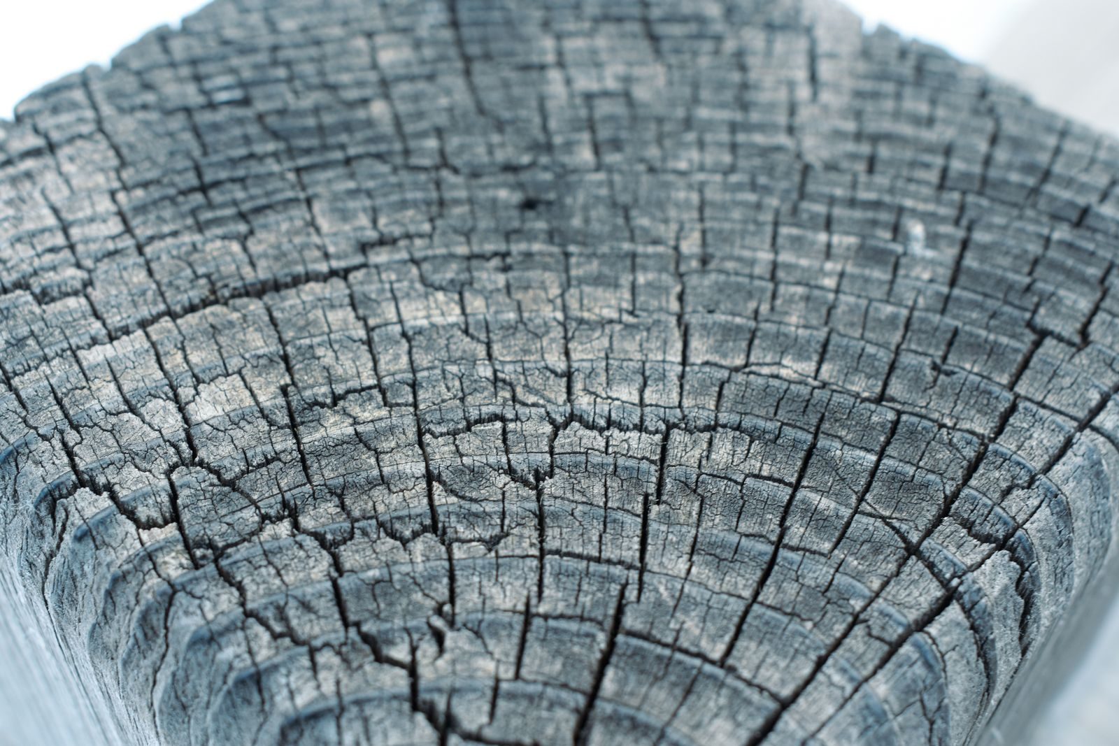 The Ancient Living Organisms Surviving Deep Within Modern Earth
