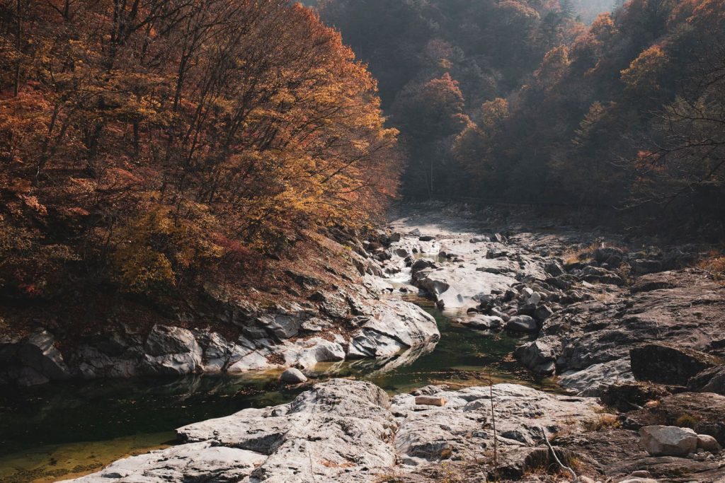 Beautiful autumnal landscape with a riverbed surrounded by colorful trees in Inje-gun, Gangwon-do.