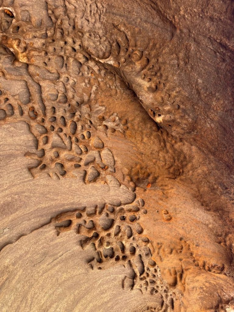 Detailed erosion patterns on a rocky surface, showcasing natural geological formations.